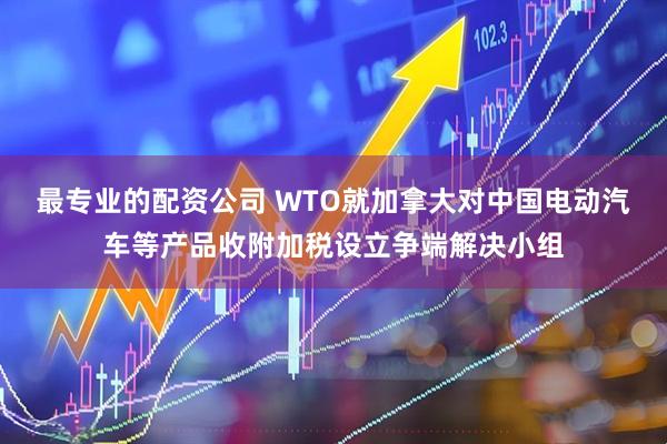 最专业的配资公司 WTO就加拿大对中国电动汽车等产品收附加税设立争端解决小组